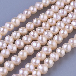 Natural Cultured Freshwater Pearl Beads Strands, Round, PeachPuff, 7~8mm, Hole: 0.8mm, about 46~47pcs/strand, 13.78 inch(35cm)(PEAR-N013-07F)