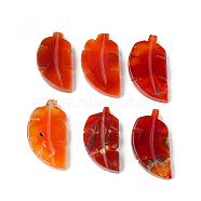 Natural Carnelian Home Display Decorations, Leaf, 40~60mm(G-PW0004-31)