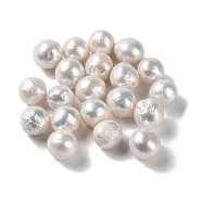 Natural Cultured Freshwater Pearl Beads, Undrilled/No Hole, Round, WhiteSmoke, 11~13mm(PEAR-E020-43)