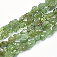 Natural Peridot Beads Strands, Tumbled Stone, Nuggets, 8~14x6~10x4~10mm, Hole: 0.8mm, about 40~43pcs/strand, 15.3~15.7 inch(39~40cm)(G-G765-41)