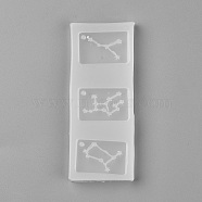 Pendant Food Grade Silicone Molds, Resin Casting Molds, For UV Resin, Epoxy Resin Jewelry Making, Twelve Constellations Shape, White, 94~95x37~39x4.5~7.5mm(DIY-WH0146-31A)
