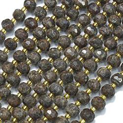 Natural Labradorite Beads Strands, with Seed Beads, Faceted, Lantern, 8~8.5x6.5~7mm, Hole: 0.6mm, about 44pcs/strand, 15.16''(38.5cm)(G-K389-E39-01)