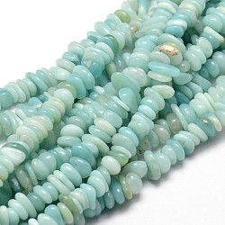 Natural Amazonite Chip Beads Strands, 4~14x4~12mm, Hole: 1mm, about 15.3 inch~16.1 inch(X-G-E271-107)
