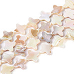 Electroplated Natural Freshwater Shell Beads Strands, Star, AB Color, Seashell Color, 11.5~13x11.5~13x2~3.5mm, Hole: 0.6mm, about 32pcs/strand, 15.35~15.55 inch(39~39.5cm)(SHEL-N038-28)