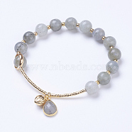 Natural Larvikite Charm Stretch Bracelets, with Brass Findings, Teardrop and Fruit, Golden, 2 inch(5cm)(BJEW-E339-11A)