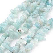 Natural Amazonite Beads Strands, Chips, Sky Blue, 4~11x3~8x2~10mm, Hole: 1mm, about 32~34 inch(G-C225-02)
