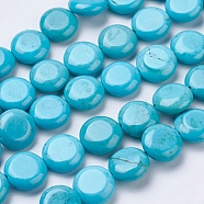 Natural Howlite Beads Strands, Dyed, Flat Round, Dark Turquoise, 12x5mm, Hole: 1mm, about 18pcs/strand, 8.26 inch(X-TURQ-K003-10)