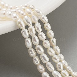 Natural Cultured Freshwater Pearl Beads Strands, Rice, Grade 4A+, Snow, 2.8~3.2mm, Hole: 0.3mm, about 31pcs/strand, 6.69''~6.89''(17~17.5cm)(PEAR-P062-01F)