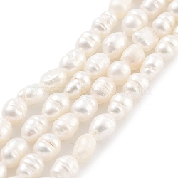 Natural Cultured Freshwater Pearl Beads Strands, Rice, Grade 2A+, Snow, 3~3.5mm, Hole: 0.5mm, about 42pcs/strand, 7.09''(18cm)(PEAR-P062-03A)