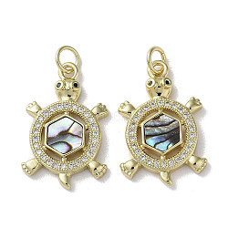 Brass Micro Pave Cubic Zirconia Pendants, Natural Paua Shell Tortoise Charms with Jump Ring, Real 18K Gold Plated, 23x15x3mm, Hole: 3mm(KK-G485-28G-02)
