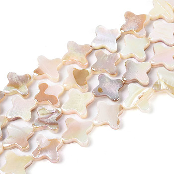 Electroplated Natural Freshwater Shell Beads Strands, Star, AB Color, Seashell Color, 11.5~13x11.5~13x2~3.5mm, Hole: 0.6mm, about 32pcs/strand, 15.35~15.55 inch(39~39.5cm)