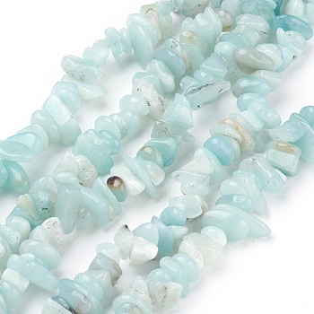 Natural Amazonite Beads Strands, Chips, Sky Blue, 4~11x3~8x2~10mm, Hole: 1mm, about 32~34 inch