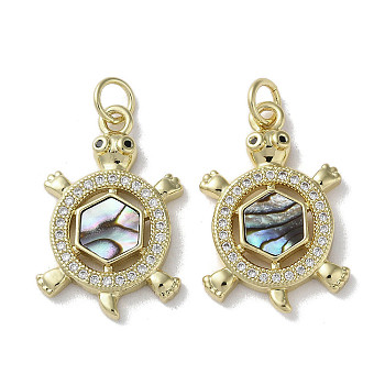Brass Micro Pave Cubic Zirconia Pendants, Natural Paua Shell Tortoise Charms with Jump Ring, Real 18K Gold Plated, 23x15x3mm, Hole: 3mm