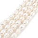 Natural Cultured Freshwater Pearl Beads Strands(PEAR-P062-03A)-1