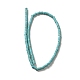 Synthetic Turquoise Dyed Beads Strands(G-E594-20A)-2