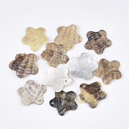 Natural Akoya Shell Pendants, Mother of Pearl Shell Pendants, Flower, Tan, 19x19~20x2~3mm, Hole: 1.2mm(SHEL-T012-39)
