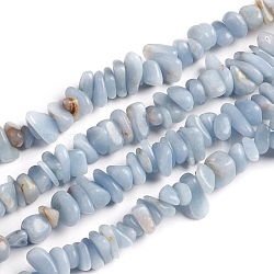 Natural Angelite Chips Beads Strands, Anhydrite Beads, 2.5~6x4.5~10.5mm, Hole: 0.8~1mm, about 33.86 inch(86cm)(X-G-D0002-A10)