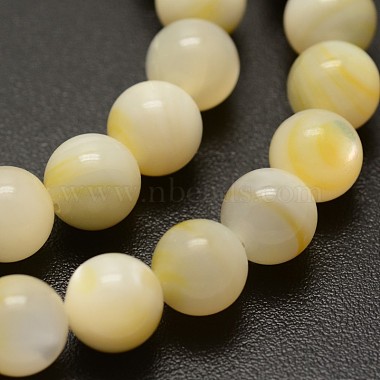 Round Yellow Shell Beads Strands(BSHE-N006-01-8mm)-2
