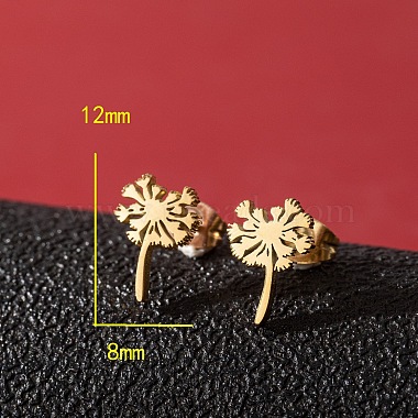 201 Stainless Steel Stud Earrings(FS-WG9DC15-01)-2