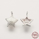 925 Sterling Silver Charms(STER-K029-12MS)-1