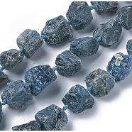Natural Apatite Beads Strands, Nuggets, 16.5~26x16.5~29mm, Hole: 1.5mm, about 16pcs/strand, 15.5~16.3 inch(39.5~41.5cm)(G-F595-I01)