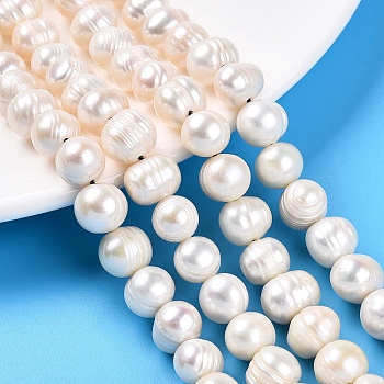 Natural Cultured Freshwater Pearl Beads Strands, Grooved Potato, Creamy White, 9~10.5x8~13.5mm, Hole: 1~1.2mm, about 36~37pcs/strand, 13.39~13.78 inch(34~35cm)