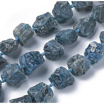 Natural Apatite Beads Strands, Nuggets, 16.5~26x16.5~29mm, Hole: 1.5mm, about 16pcs/strand, 15.5~16.3 inch(39.5~41.5cm)