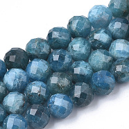 Natural Apatite Beads Strands, Faceted, Round, 4~4.5x4mm, Hole: 1mm, about 49pcs/strand, 7.48 inch(G-S345-4mm-008)