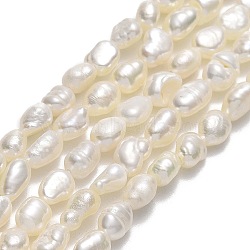 Natural Cultured Freshwater Pearl Beads Strands, Two Sides Polished, Linen, 5.5~6x4.5x3mm, Hole: 0.7mm, about 56~66pcs/strand, 14.37~14.57''(36.5~37cm)(PEAR-A005-13C-01)