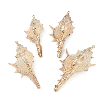 Natural Shell Pendants, Shell Shape Charms, 53~69x24~39x20~29mm, Hole: 1.5mm