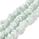 Natural Glass Beads Strands(G-G925-06)-1