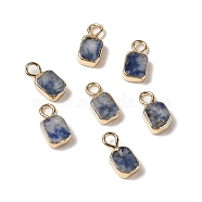 Natural Blue Spot Jasper Rectangle Charms, with Golden Tone Brass Edge, 9.5x5x2.5mm, Hole: 2mm(G-Q169-07G-02)