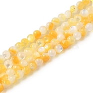 Natural Yellow Shell Beads Strands, Round, Gold, 2.5mm, Hole: 1mm, about 155pcs/strand, 14.61''(37.1cm)(SHEL-M021-03A)
