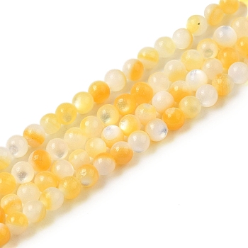 Natural Yellow Shell Beads Strands, Round, Gold, 2.5mm, Hole: 1mm, about 155pcs/strand, 14.61''(37.1cm)