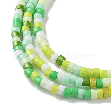 Handmade Czech Lampwork Beads Strands(LAMP-L078-008A)-3