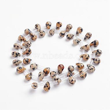 Natural Dalmatian Jasper Beads Strands(G-J360-08)-2