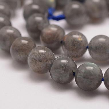 Chapelets de perles en labradorite naturelle(G-P259-03-8mm)-3