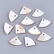 Natural Freshwater Shell Charms, Fan, Seashell Color, 10x14.5x2mm, Hole: 1.5mm(X-SHEL-S276-113)