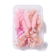 Dried Flowers, DIY Candle Soap Making Accessories, with Plastic Rectangle Box, Pearl Pink, 7~13x1.2~9.7cm(DIY-D052-09)