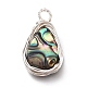 Natural Abalone Shell/Paua Shell Pendants(PALLOY-JF00477-02)-3