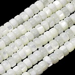 Natural Trochid Shell/Trochus Shell Beads Strands, Disc, Heishi Beads, White, 5x3mm, Hole: 0.6mm, about 57pcs/strand, 7.09''(18cm)(SH-CBA2978-18B)
