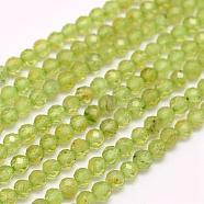 Natural Peridot Beads Strands, Faceted, Round, 2mm, Hole: 0.5mm, about 210~220pcs/strand, 15.7 inch(40cm)(G-F509-12-2mm)