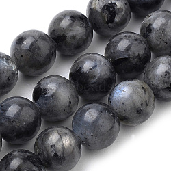 Natural Larvikite Beads Strands, Round, 6mm, Hole: 1mm, about 59~61pcs/strand, 15 inch(G-S259-06-6mm)