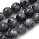 Natural Larvikite Beads Strands(G-S259-06-6mm)-1