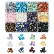 240G 12 Styles Natural Mixed Gemstone Chip Beads, No Hole/Undrilled, Mixed Dyed and Undyed, 5~10.5x5~7x2~4mm, 20g/style(G-FS0005-64)