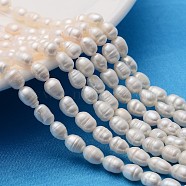 Grade A Natural Cultured Freshwater Pearl Strands, Idea for Mother's Day Gift, Rice Beads, White, 4~5mm, Hole: 0.8mm, about 34~43pcs/strand, 13.19 inch(33.5cm)(PEAR-N012-04I)