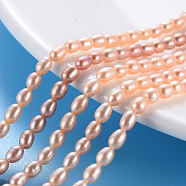 Natural Cultured Freshwater Pearl Beads Strands, Rice, Light Salmon, 4.5~6x3~3.5mm, Hole: 0.5mm, about 76~78pcs/strand, 14.37 inch(36.5cm)(PEAR-N012-02C)