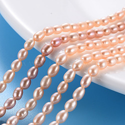 Natural Cultured Freshwater Pearl Beads Strands, Rice, Light Salmon, 4.5~6x3~3.5mm, Hole: 0.5mm, about 76~78pcs/strand, 14.37 inch(36.5cm)(PEAR-N012-02C)