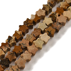 Natural Picture Jasper Beads Strands, Star, 4x4.5x2mm, Hole: 0.8mm, about 102pcs/strand, 15.35 inch(39cm)(G-G085-B20-01)