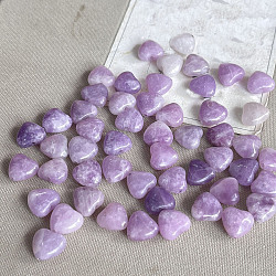 Natural Amethyst Beads, Heart, 10mm(PW-WG17130-01)